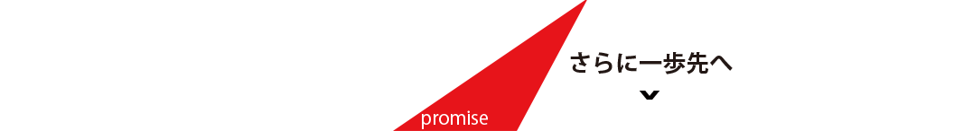 promise