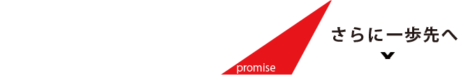 promise